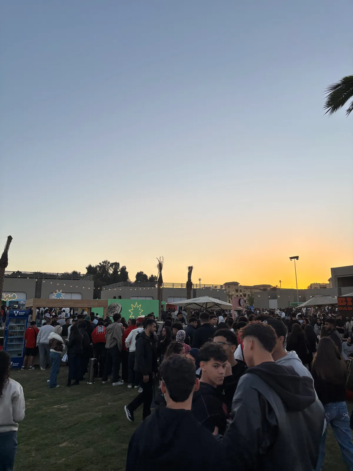 Artisan pizza plated and ready